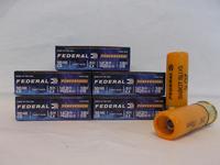 Federal 20ga 2.75 Sabot Slug