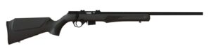 ROSSI RB17 17HMR BLK/SYN 21" 5+1